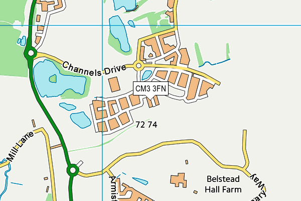 CM3 3FN map - OS VectorMap District (Ordnance Survey) CM3 3FN map - OS VectorMap District (Ordnance Survey)