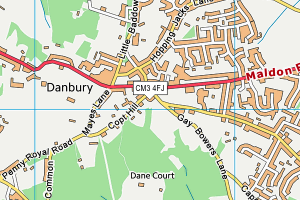CM3 4FJ map - OS VectorMap District (Ordnance Survey) CM3 4FJ map - OS VectorMap District (Ordnance Survey)