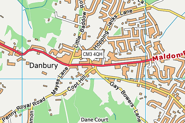CM3 4QH map - OS VectorMap District (Ordnance Survey) CM3 4QH map - OS VectorMap District (Ordnance Survey)