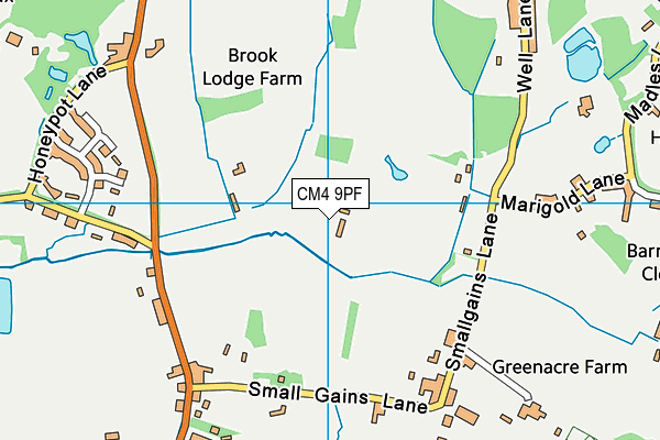 CM4 9PF map - OS VectorMap District (Ordnance Survey) CM4 9PF map - OS VectorMap District (Ordnance Survey)