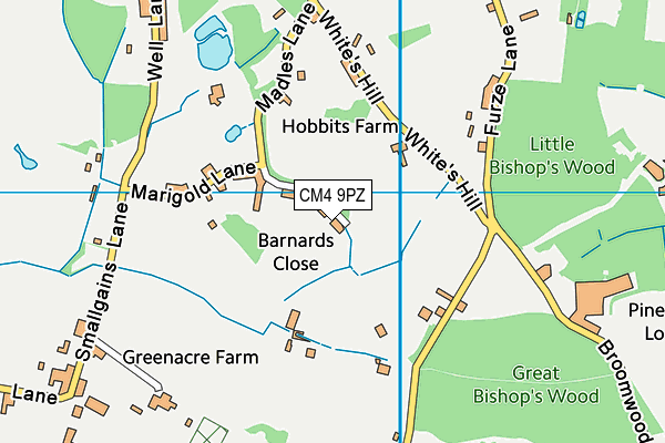 CM4 9PZ map - OS VectorMap District (Ordnance Survey) CM4 9PZ map - OS VectorMap District (Ordnance Survey)