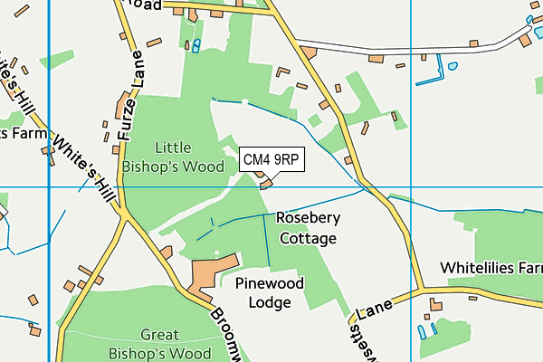 CM4 9RP map - OS VectorMap District (Ordnance Survey) CM4 9RP map - OS VectorMap District (Ordnance Survey)