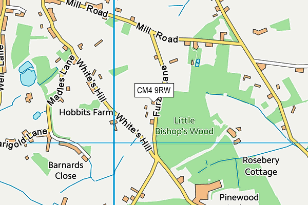 CM4 9RW map - OS VectorMap District (Ordnance Survey) CM4 9RW map - OS VectorMap District (Ordnance Survey)