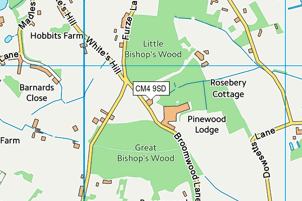 CM4 9SD map - OS VectorMap District (Ordnance Survey) CM4 9SD map - OS VectorMap District (Ordnance Survey)