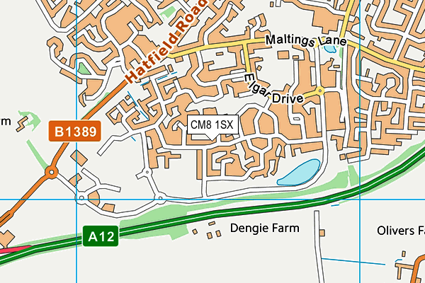 CM8 1SX map - OS VectorMap District (Ordnance Survey) CM8 1SX map - OS VectorMap District (Ordnance Survey)