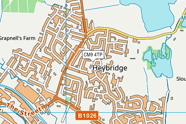 CM9 4TP map - OS VectorMap District (Ordnance Survey) CM9 4TP map - OS VectorMap District (Ordnance Survey)