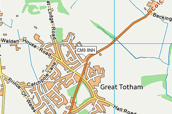 CM9 8NH map - OS VectorMap District (Ordnance Survey)