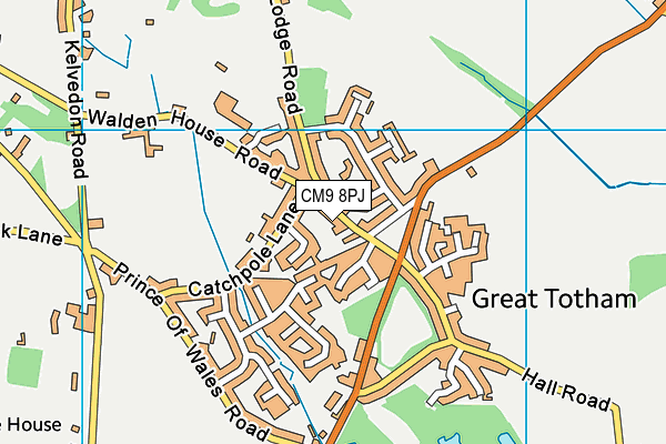 CM9 8PJ map - OS VectorMap District (Ordnance Survey) CM9 8PJ map - OS VectorMap District (Ordnance Survey)