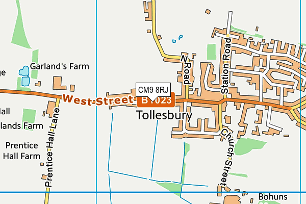 CM9 8RJ map - OS VectorMap District (Ordnance Survey) CM9 8RJ map - OS VectorMap District (Ordnance Survey)