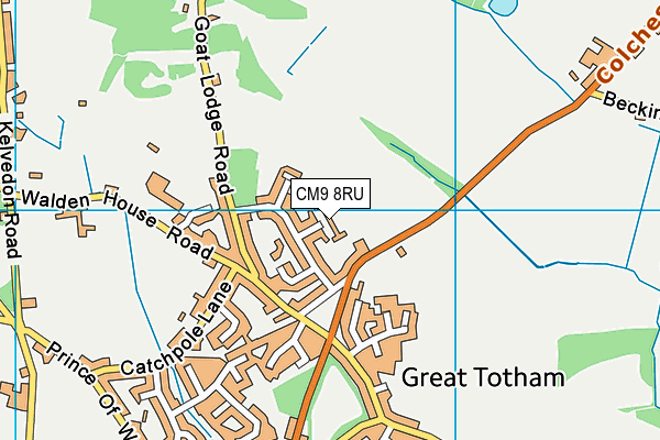 CM9 8RU map - OS VectorMap District (Ordnance Survey) CM9 8RU map - OS VectorMap District (Ordnance Survey)