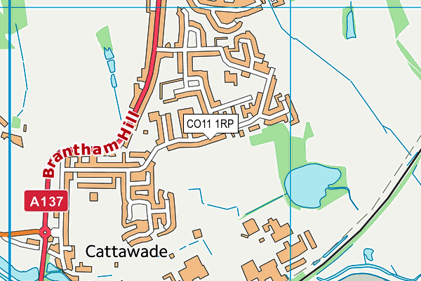 CO11 1RP map - OS VectorMap District (Ordnance Survey) CO11 1RP map - OS VectorMap District (Ordnance Survey)