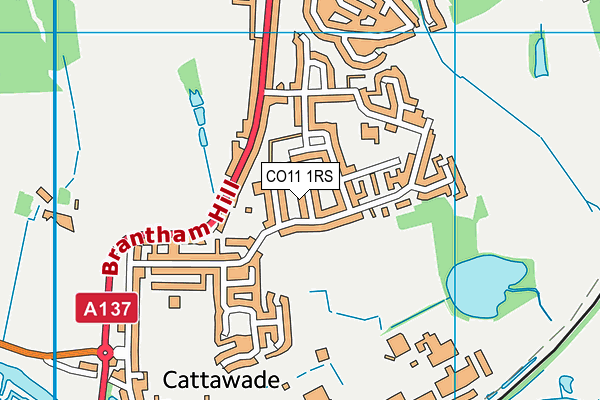 CO11 1RS map - OS VectorMap District (Ordnance Survey) CO11 1RS map - OS VectorMap District (Ordnance Survey)