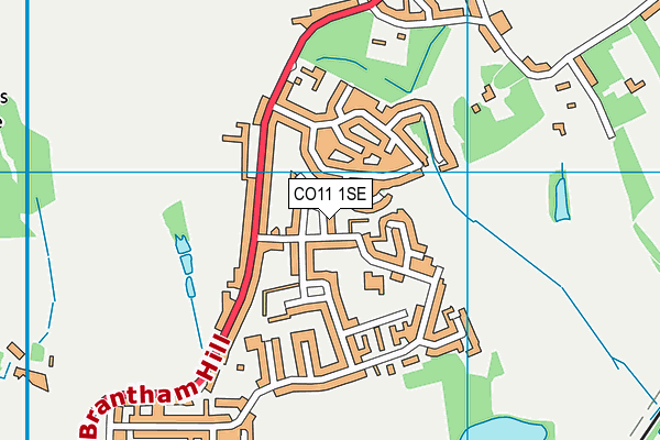 CO11 1SE map - OS VectorMap District (Ordnance Survey) CO11 1SE map - OS VectorMap District (Ordnance Survey)
