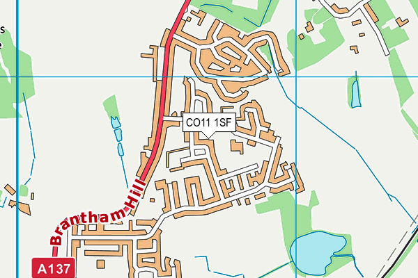 CO11 1SF map - OS VectorMap District (Ordnance Survey) CO11 1SF map - OS VectorMap District (Ordnance Survey)