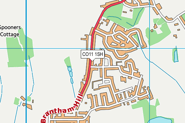 CO11 1SH map - OS VectorMap District (Ordnance Survey) CO11 1SH map - OS VectorMap District (Ordnance Survey)