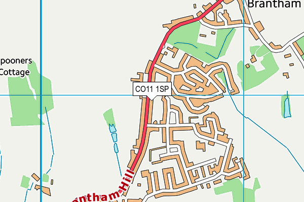 CO11 1SP map - OS VectorMap District (Ordnance Survey) CO11 1SP map - OS VectorMap District (Ordnance Survey)