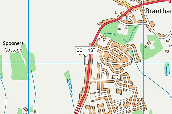 CO11 1ST map - OS VectorMap District (Ordnance Survey) CO11 1ST map - OS VectorMap District (Ordnance Survey)