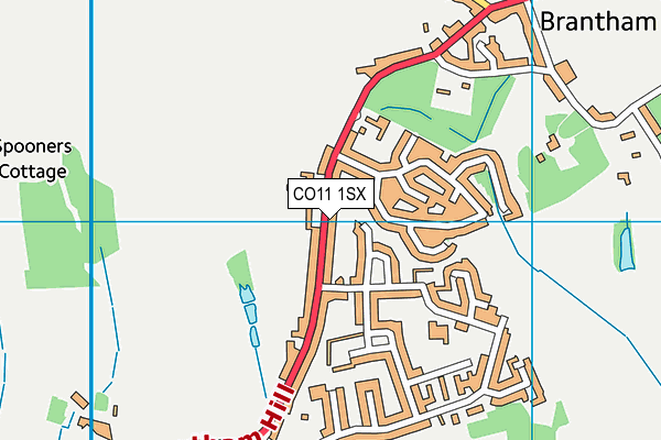 CO11 1SX map - OS VectorMap District (Ordnance Survey) CO11 1SX map - OS VectorMap District (Ordnance Survey)
