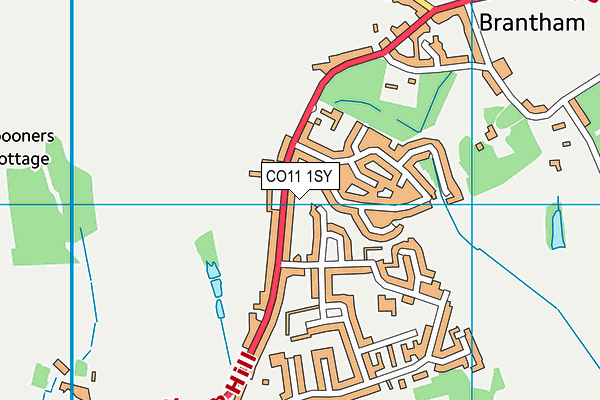 CO11 1SY map - OS VectorMap District (Ordnance Survey) CO11 1SY map - OS VectorMap District (Ordnance Survey)