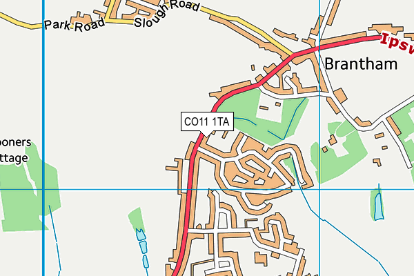 CO11 1TA map - OS VectorMap District (Ordnance Survey) CO11 1TA map - OS VectorMap District (Ordnance Survey)