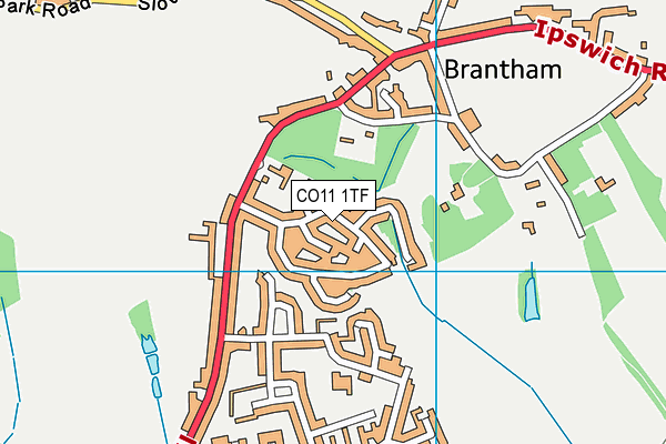 CO11 1TF map - OS VectorMap District (Ordnance Survey) CO11 1TF map - OS VectorMap District (Ordnance Survey)