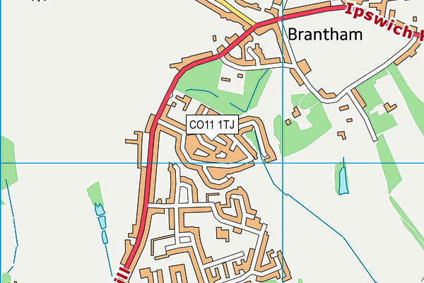 CO11 1TJ map - OS VectorMap District (Ordnance Survey) CO11 1TJ map - OS VectorMap District (Ordnance Survey)