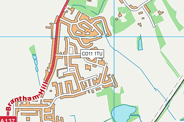 CO11 1TU map - OS VectorMap District (Ordnance Survey)