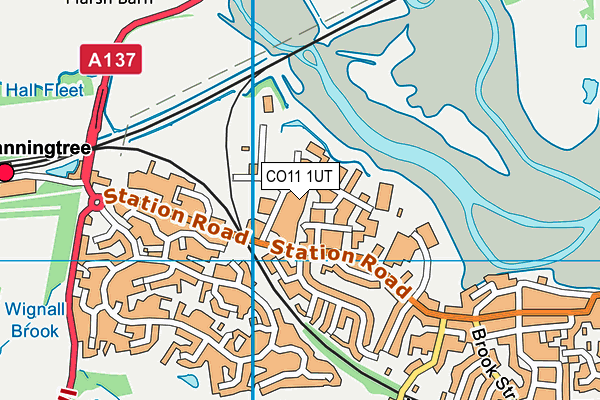 CO11 1UT map - OS VectorMap District (Ordnance Survey) CO11 1UT map - OS VectorMap District (Ordnance Survey)