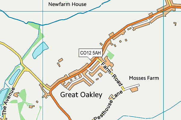CO12 5AH map - OS VectorMap District (Ordnance Survey) CO12 5AH map - OS VectorMap District (Ordnance Survey)