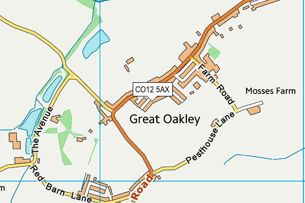 CO12 5AX map - OS VectorMap District (Ordnance Survey)