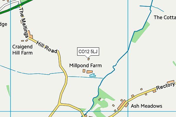 CO12 5LJ map - OS VectorMap District (Ordnance Survey) CO12 5LJ map - OS VectorMap District (Ordnance Survey)