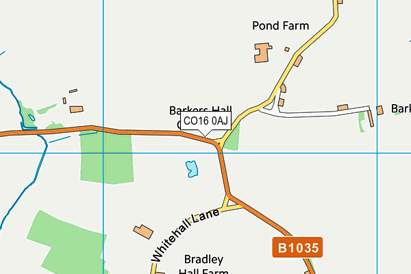 CO16 0AJ map - OS VectorMap District (Ordnance Survey) CO16 0AJ map - OS VectorMap District (Ordnance Survey)