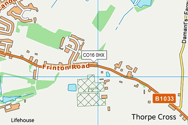 CO16 0HX map - OS VectorMap District (Ordnance Survey) CO16 0HX map - OS VectorMap District (Ordnance Survey)