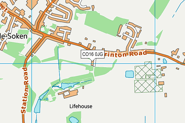 CO16 0JG map - OS VectorMap District (Ordnance Survey) CO16 0JG map - OS VectorMap District (Ordnance Survey)