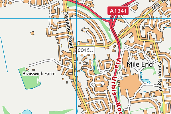 CO4 5JJ map - OS VectorMap District (Ordnance Survey) CO4 5JJ map - OS VectorMap District (Ordnance Survey)