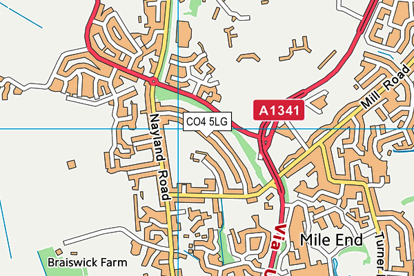 CO4 5LG map - OS VectorMap District (Ordnance Survey) CO4 5LG map - OS VectorMap District (Ordnance Survey)