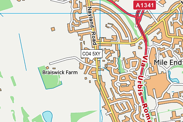 CO4 5XY map - OS VectorMap District (Ordnance Survey) CO4 5XY map - OS VectorMap District (Ordnance Survey)