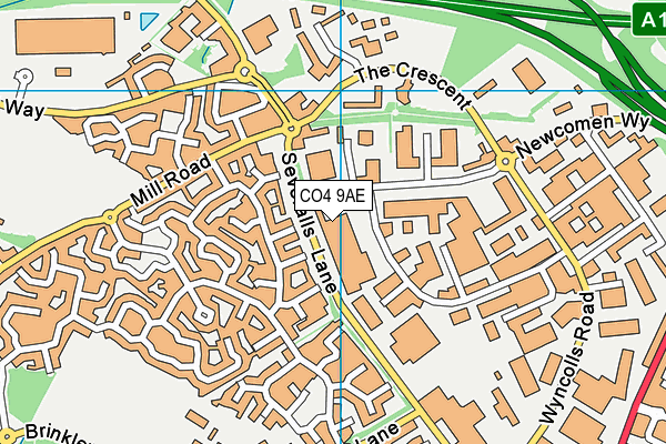 CO4 9AE map - OS VectorMap District (Ordnance Survey) CO4 9AE map - OS VectorMap District (Ordnance Survey)
