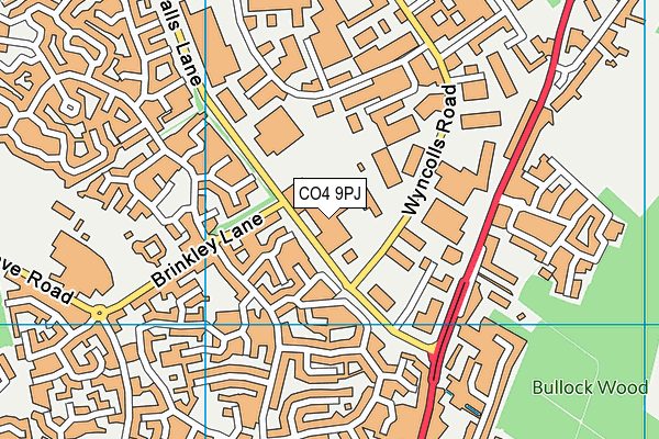 CO4 9PJ map - OS VectorMap District (Ordnance Survey) CO4 9PJ map - OS VectorMap District (Ordnance Survey)