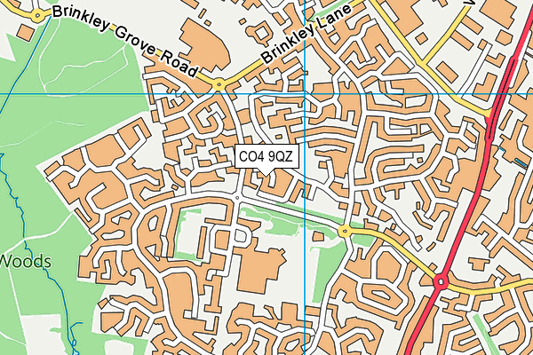 CO4 9QZ map - OS VectorMap District (Ordnance Survey) CO4 9QZ map - OS VectorMap District (Ordnance Survey)