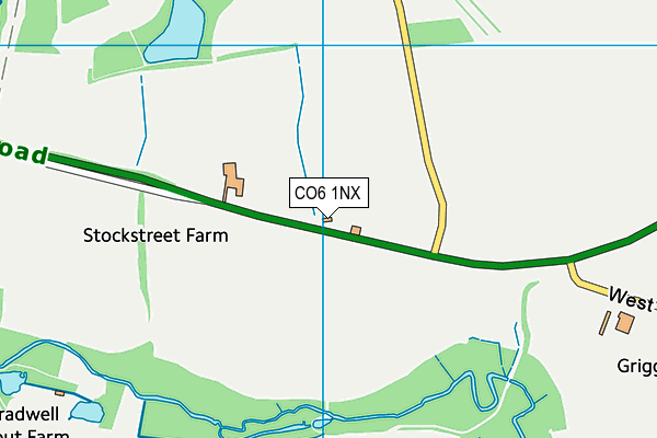 CO6 1NX map - OS VectorMap District (Ordnance Survey) CO6 1NX map - OS VectorMap District (Ordnance Survey)