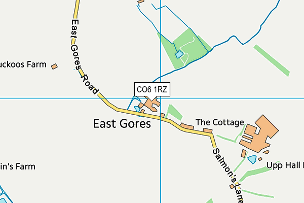 CO6 1RZ map - OS VectorMap District (Ordnance Survey)