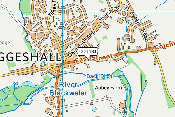 CO6 1SJ map - OS VectorMap District (Ordnance Survey) CO6 1SJ map - OS VectorMap District (Ordnance Survey)