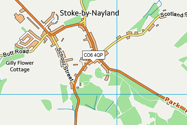 CO6 4QP map - OS VectorMap District (Ordnance Survey) CO6 4QP map - OS VectorMap District (Ordnance Survey)