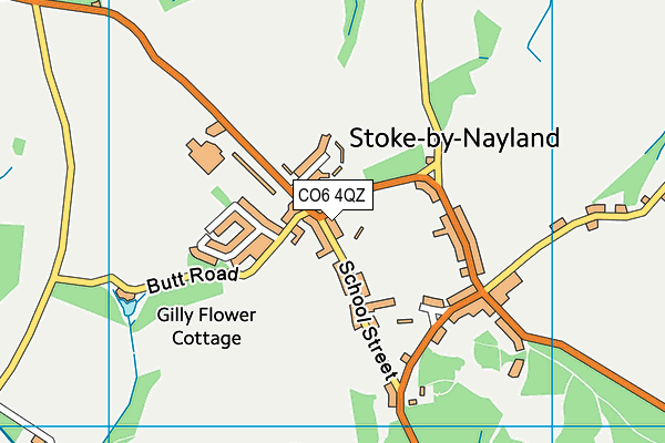 CO6 4QZ map - OS VectorMap District (Ordnance Survey) CO6 4QZ map - OS VectorMap District (Ordnance Survey)