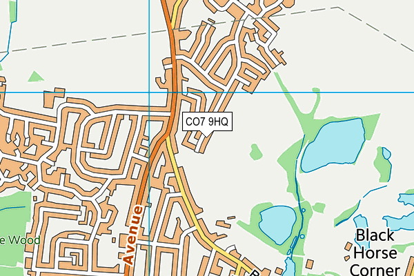 CO7 9HQ map - OS VectorMap District (Ordnance Survey)
