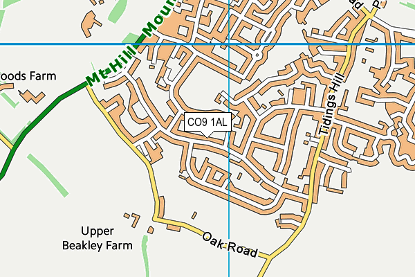 CO9 1AL map - OS VectorMap District (Ordnance Survey) CO9 1AL map - OS VectorMap District (Ordnance Survey)