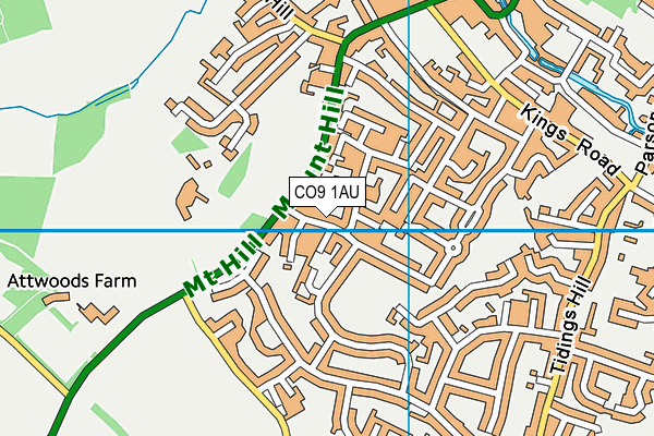 CO9 1AU map - OS VectorMap District (Ordnance Survey) CO9 1AU map - OS VectorMap District (Ordnance Survey)