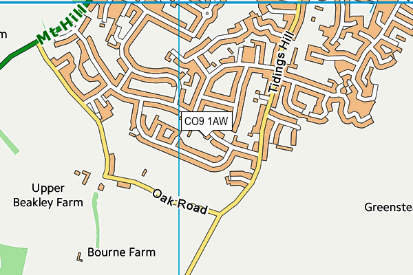 CO9 1AW map - OS VectorMap District (Ordnance Survey) CO9 1AW map - OS VectorMap District (Ordnance Survey)