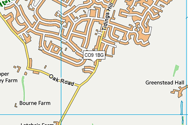 CO9 1BG map - OS VectorMap District (Ordnance Survey) CO9 1BG map - OS VectorMap District (Ordnance Survey)